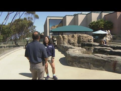 Birch Aquarium at Scripps celebrates 30 year Anniversary
