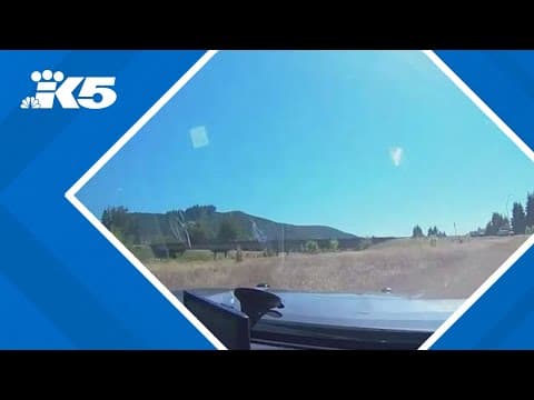 Centralia hit-and-run ends in police pursuit