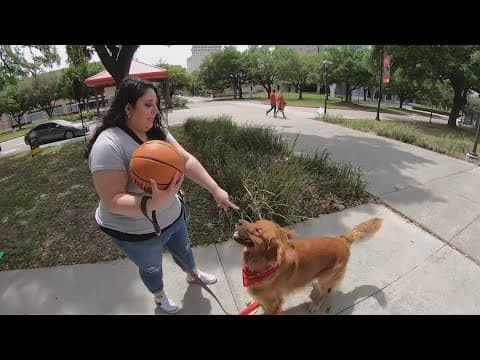 No bones about it, Bobby the dog is a UH Cougars fan