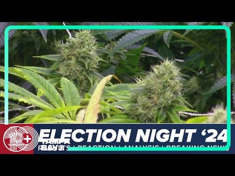 Voters decide on Florida's Amendment 3 and if recreational marijuana could be legal in the state