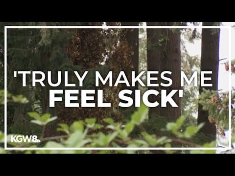 Neighbors upset over cutting down of Douglas firs for housing development