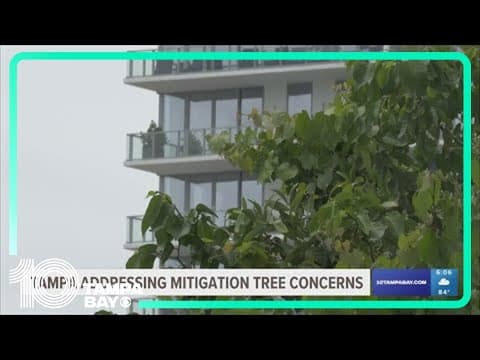Tampa leaders addressing mitigation tree concerns