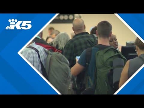 Travelers at SEA Airport wait in long lines as cyber attack impacts flights