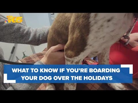 Dog boarding facilities taking extra precautions as mystery dog respiratory illness reaches Washingt