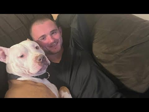 20-year-old killed after hitting power line while trimming tree in Arlington