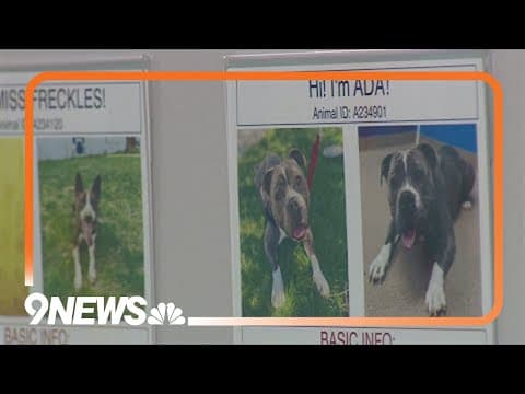 New animal shelter could be coming to Aurora