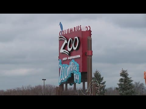 Hyundai stolen from Columbus Zoo parking lot; witness reported 4 masked people checking cars