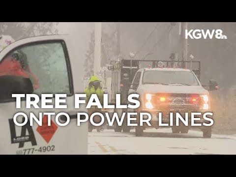 Large tree fell on power line in Southwest Portland during heavy winds