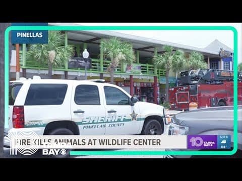 Fire kills animals at wildlife center near John's Pass