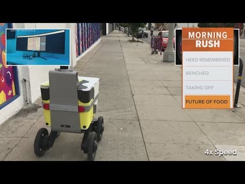 You might see new food delivery robots on Dallas streets soon