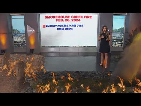 One year after the largest wildfire in Texas history here's what you need to look out for