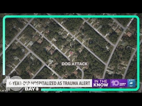 Police: Child flown to Sarasota hospital after dog attack