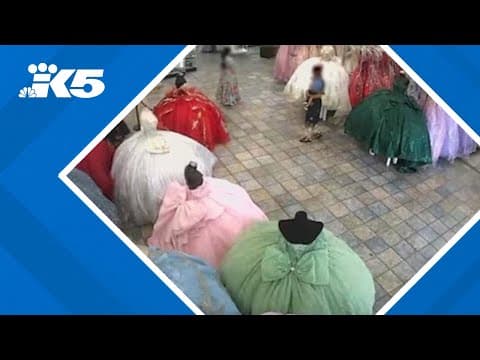 Thieves target quinceañera dress shops in western WA