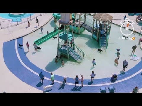 At the end of the season, this pool welcomes dogs to the park