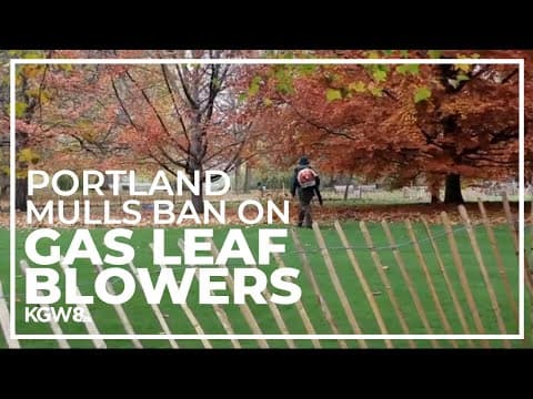 Portland considers ban on gas-powered leaf blowers