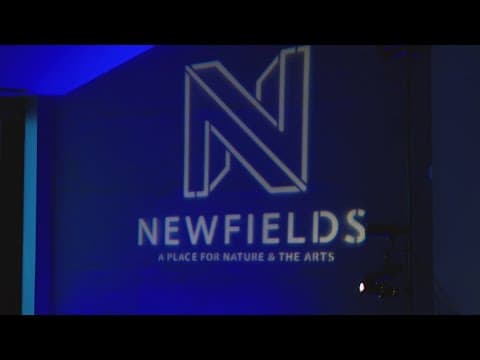 Former Newfields employee sues over race discrimination