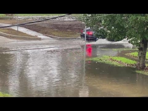 Sewerage and Water Board says pump delay caused water to back up