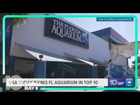 USA Today names Florida Aquarium as one of the best in the country