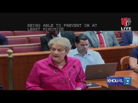 Houston City Council hears  independent review committee's final report on HPD suspended incidents