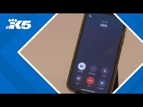 LGBTQ+ youth at risk as suicide prevention line faces elimination