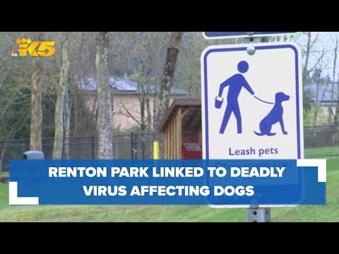 Renton park tied to deadly virus affecting dogs
