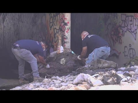 Duo teams up to beautify San Diego parks at their own expense