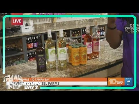 Harvest time at Keel Farms in Plant City