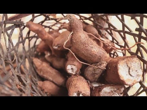 Lead found in two organic snack brands