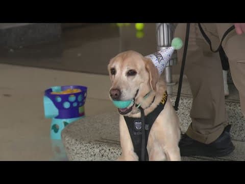 Explosive sniffing K9 Messi retires from TSA at DCA | The Night Cap