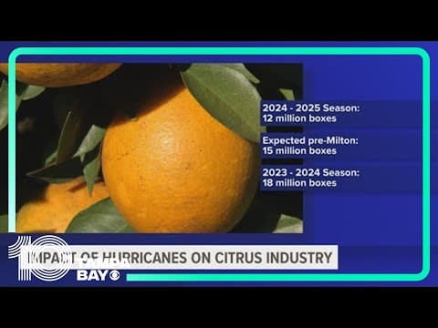 Florida citrus industry predicted to produce historic low due to recent hurricanes