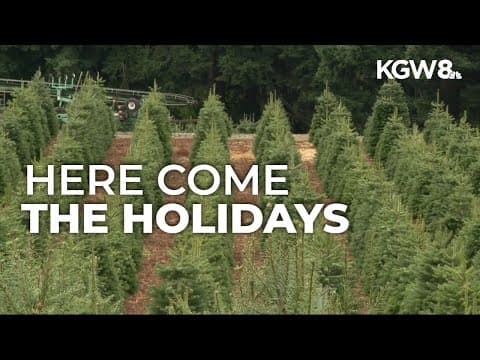 Oregon Christmas tree growers and sellers prep for holiday harvest