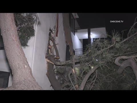 Downed powerlines and trees across the county as winter storms hit Southern California