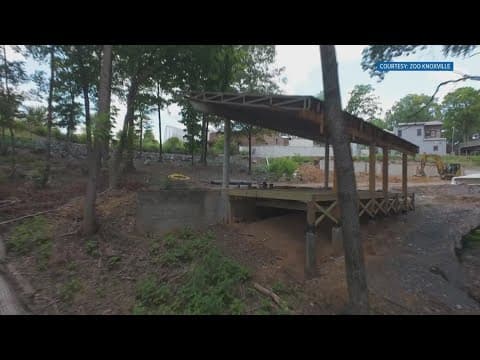 New nighttime attraction coming to Zoo Knoxville