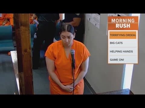 Pregnant woman stabbed by pizza delivery driver over $2 tip: Sheriff's Office