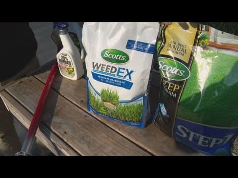 Pat Sullivan's tips for dealing with weeds this spring