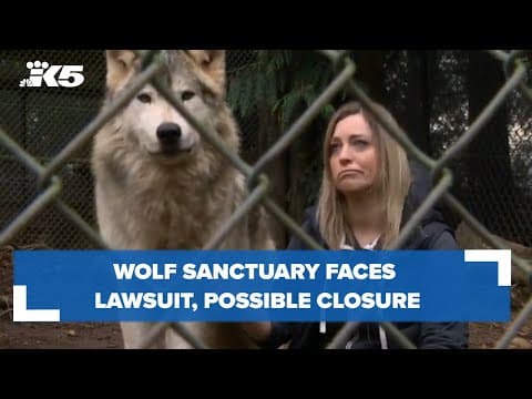 Anacortes wolf sanctuary faces lawsuit, possible closure