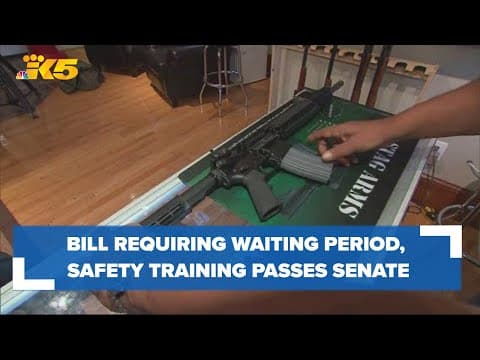 Bill requiring 10-day waiting period, safety training for gun buyers passes in Senate