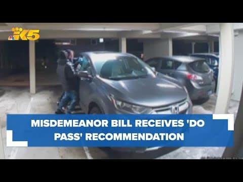New bill gets 'do pass' recommendation to deter thieves, other misdemeanor criminals