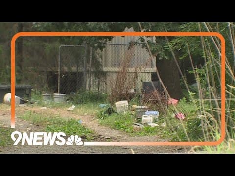 Authorities find injured elderly woman with 40 wolf-hybrid dogs in North Carolina home