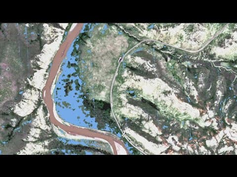 U of M researchers take to the sky to study invasive plants