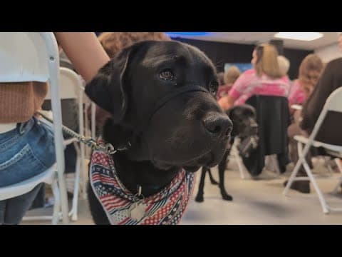 Texas nonprofit pairs service dogs with veterans