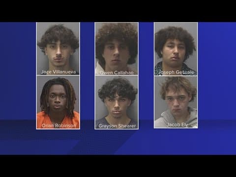 'Brutal and senseless': 6 teens charged as adults in attack at Tampa dog park