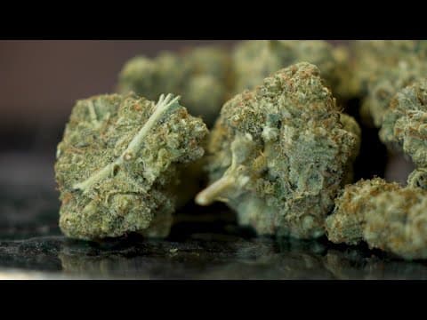 Texas Senate advances bill to ban THC — again