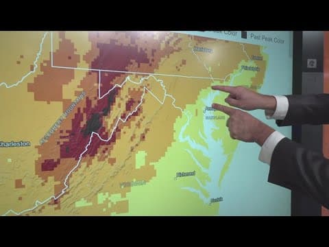 Checking on fall foliage in the DMV