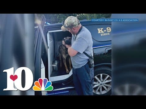 Maryville Police Department: Missing K-9 found, being treated for non-life-threatening wounds