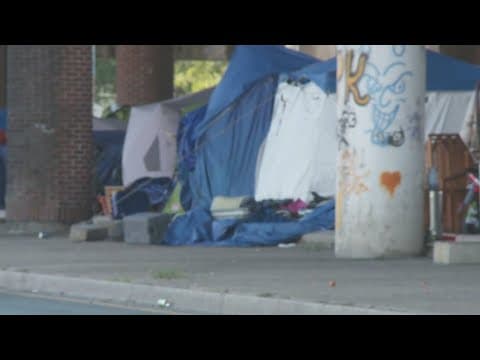 Progress made in Orleans Parish homeless encampments