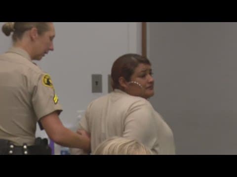 Mother of 2 kids hit and killed on SR-78 freeway back in jail