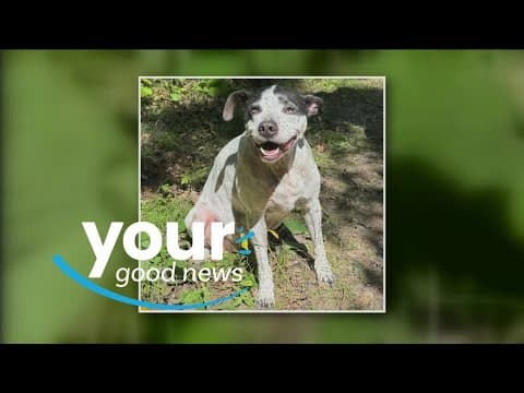 Your Good News: Janine Shapley, Debi Bourdeau, Char Gulickson