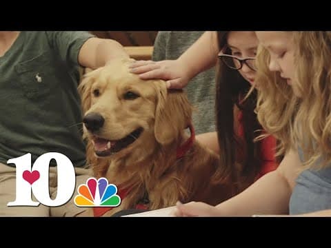 'HABIT' helps kids improve reading skills with animal bonding