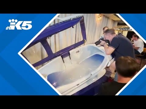 American woman dies inside Swiss "suicide capsule"